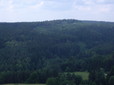010.jpg