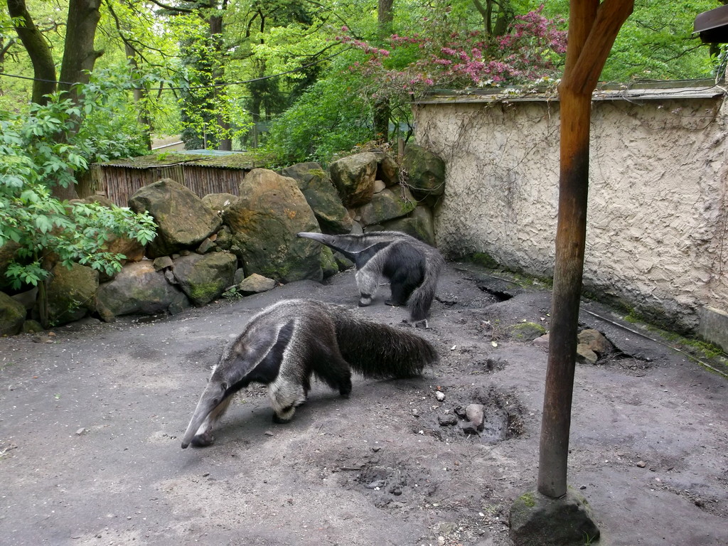 107.jpg