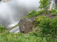 110.jpg