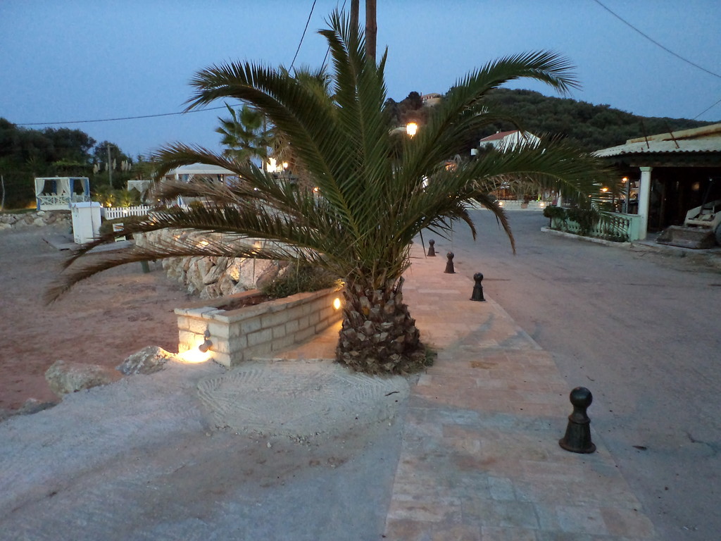 119.jpg