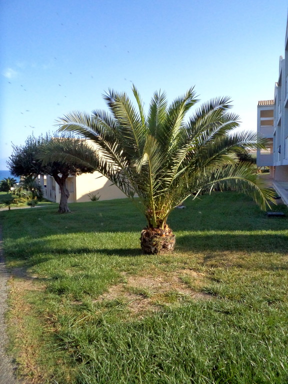 133.jpg