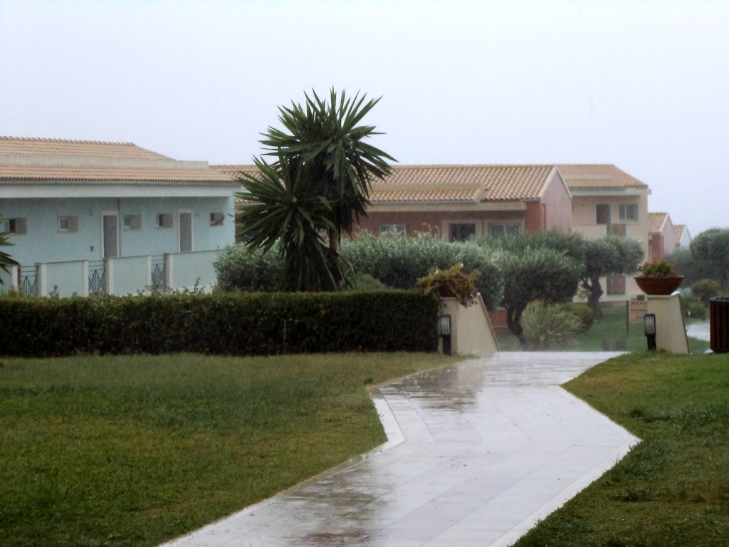 139.jpg