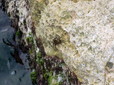 040.jpg