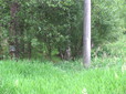 063.jpg