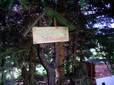 010.jpg