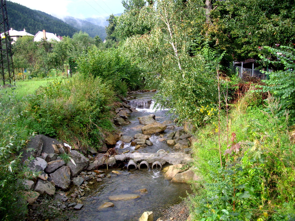 010.jpg