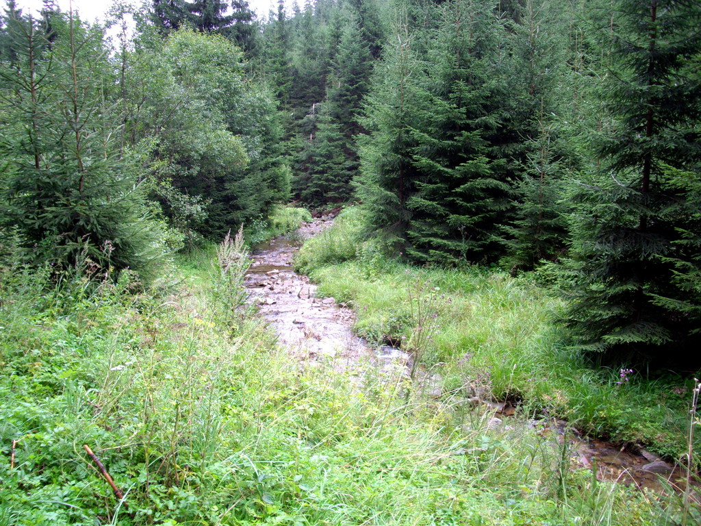 050.jpg