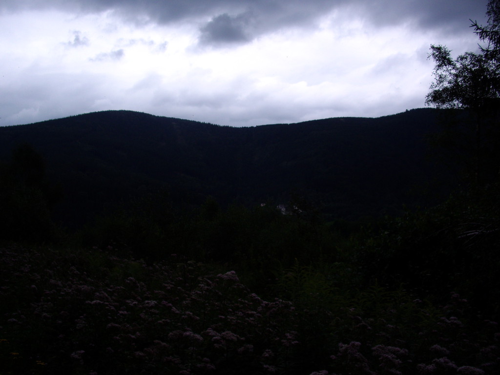 070.jpg