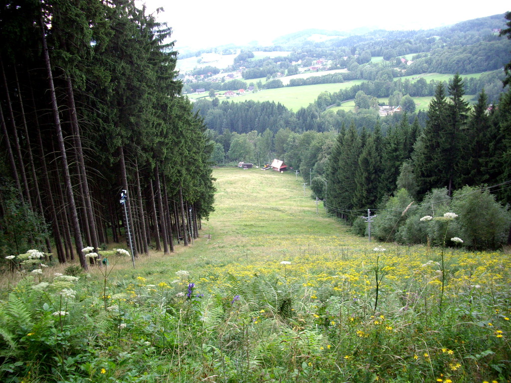 072.jpg