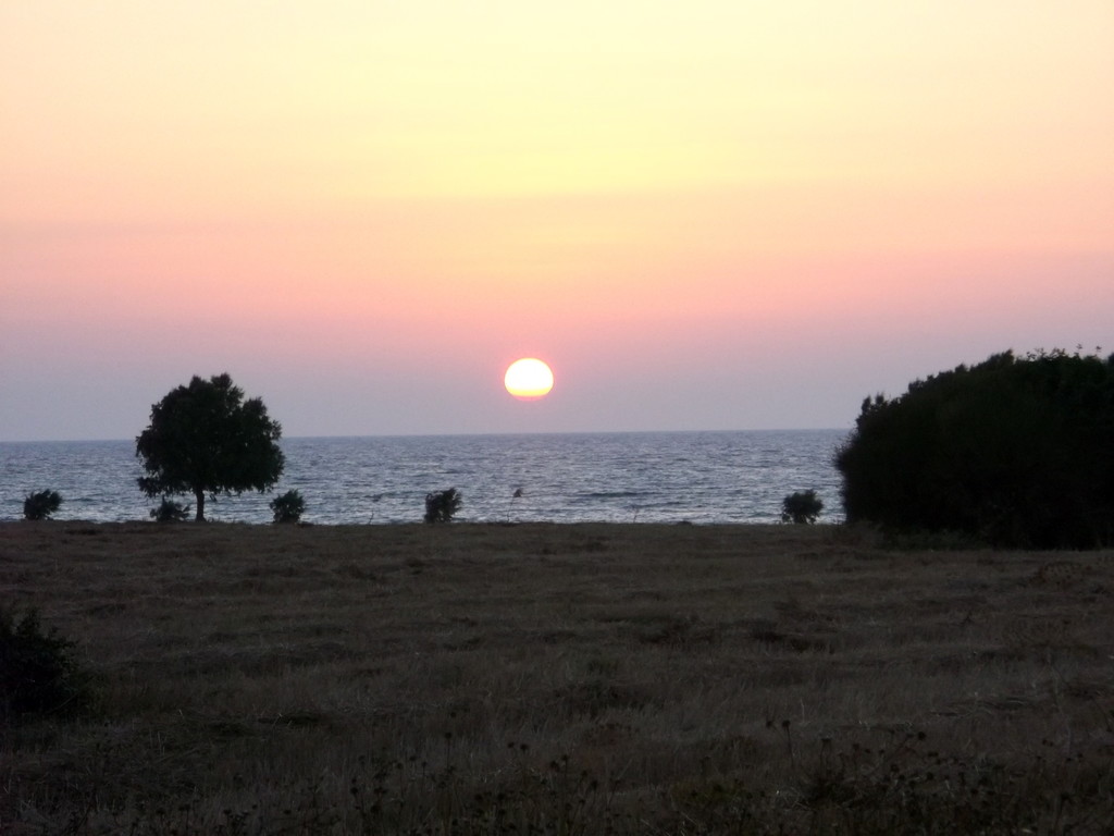 010.jpg