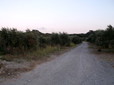 072.jpg