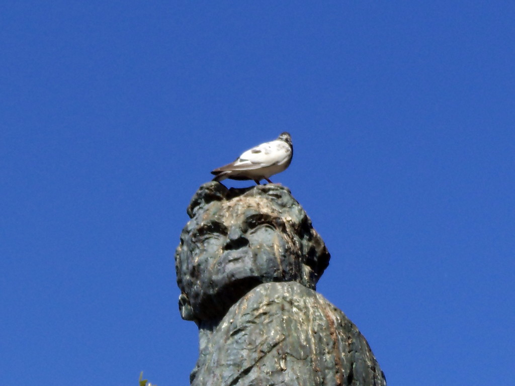 111.jpg