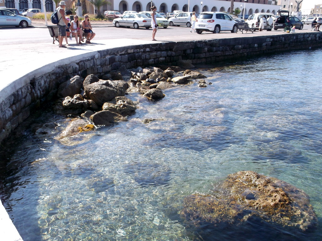 117.jpg
