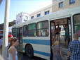 133.jpg