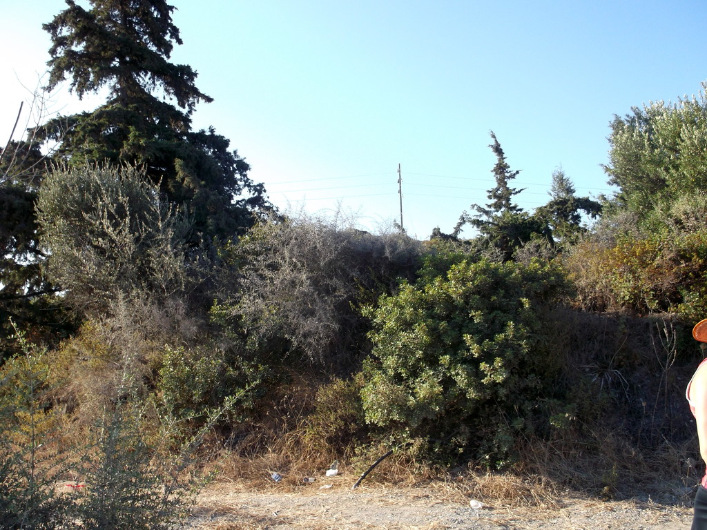 135.jpg