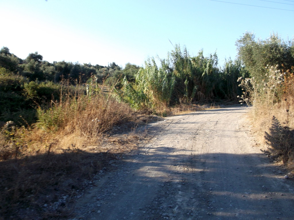 136.jpg