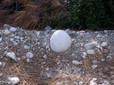 153.jpg
