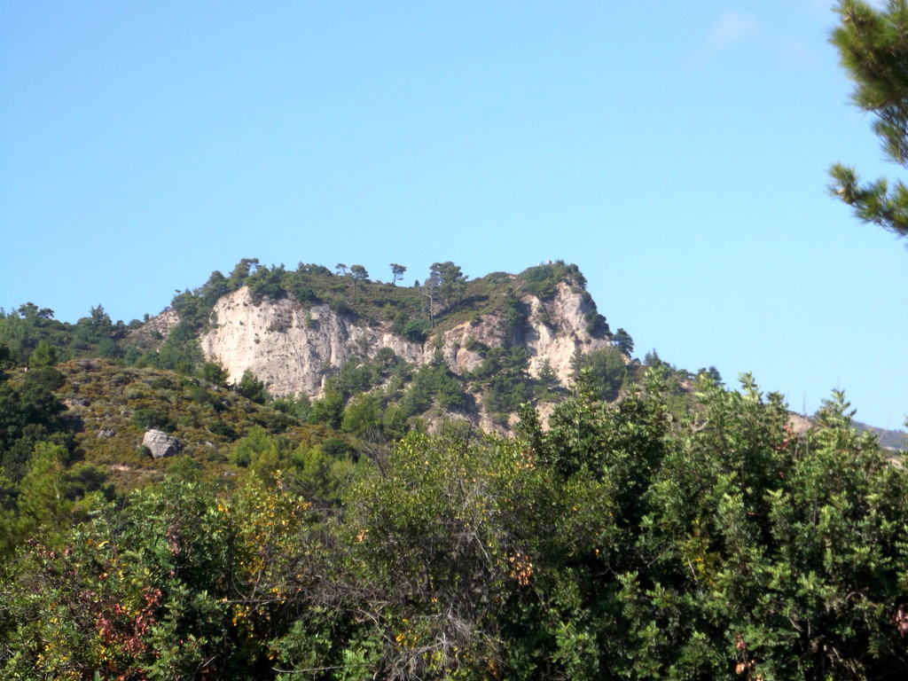 154.jpg