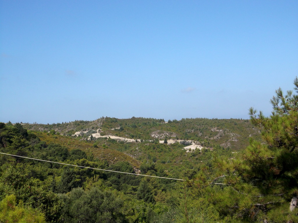 155.jpg
