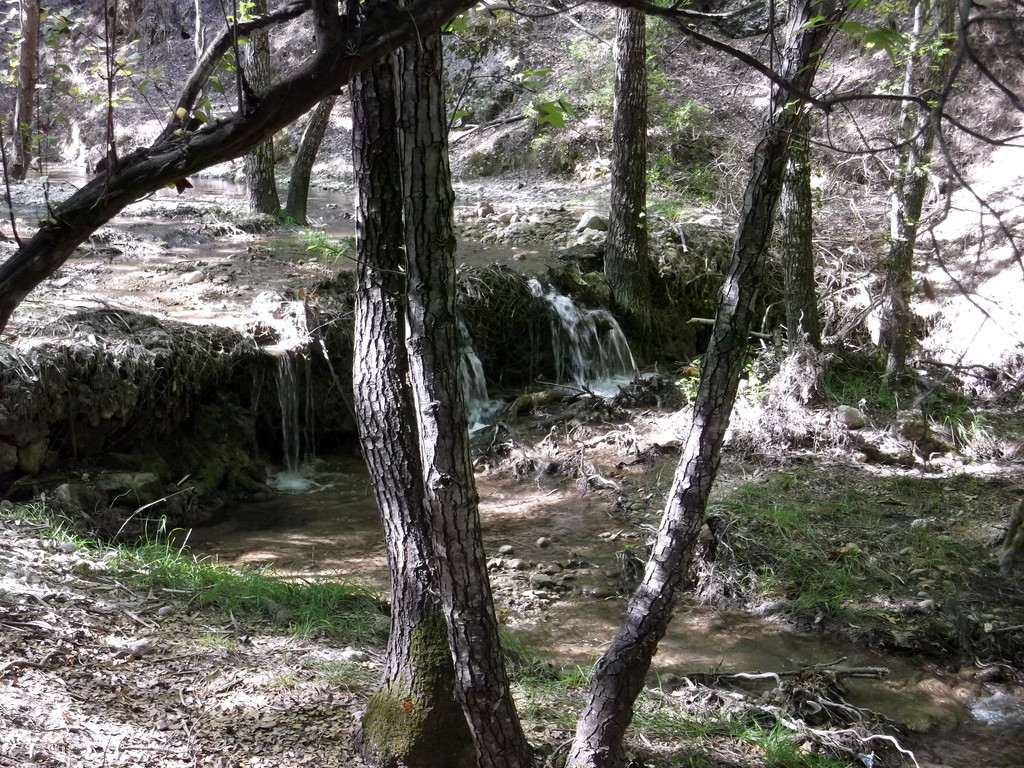158.jpg