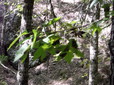 159.jpg