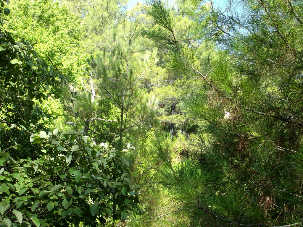 172.jpg