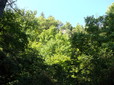 174.jpg