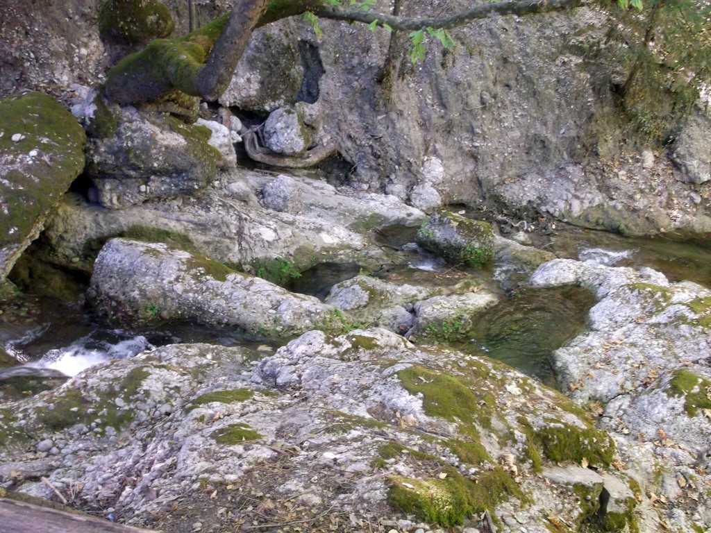 175.jpg