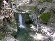 176.jpg