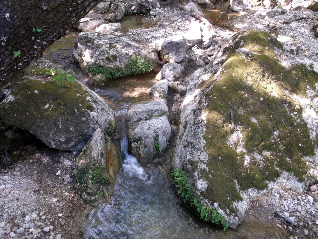 185.jpg
