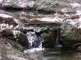 188.jpg