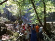 190.jpg