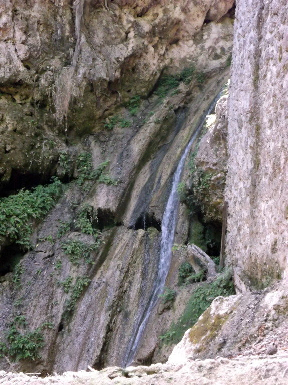 192.jpg