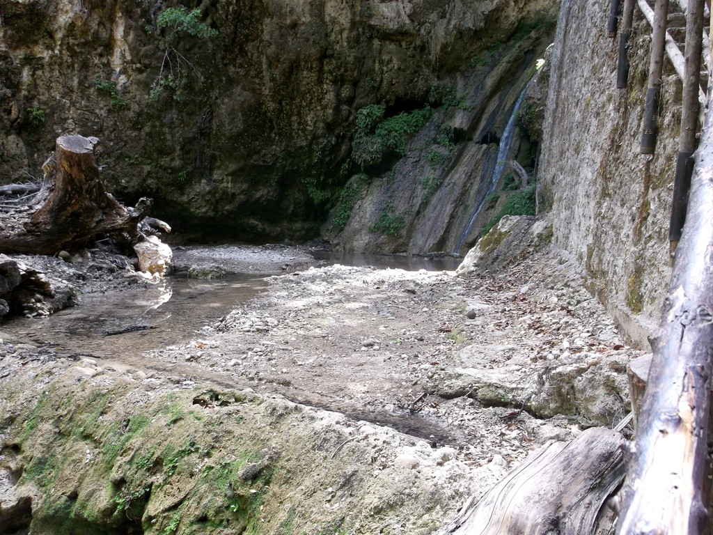 193.jpg