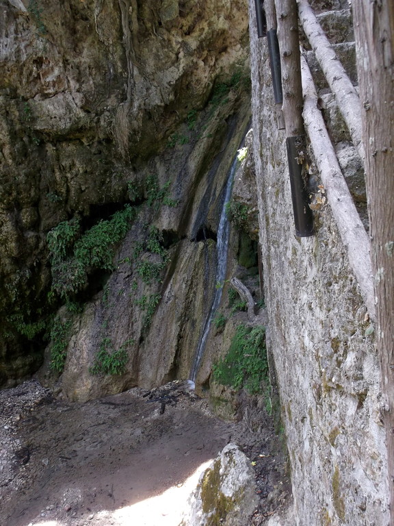 194.jpg