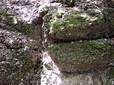 196.jpg