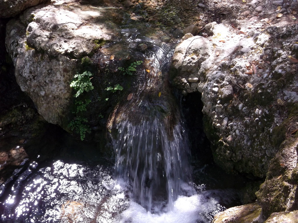 197.jpg