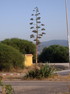 051.jpg