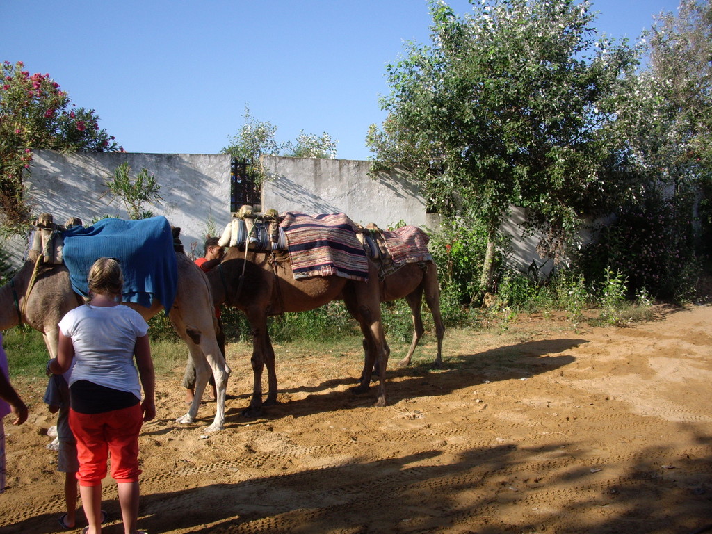 105.jpg