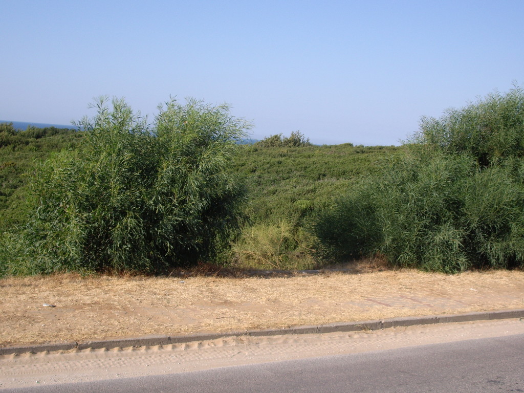 108.jpg