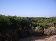 110.jpg