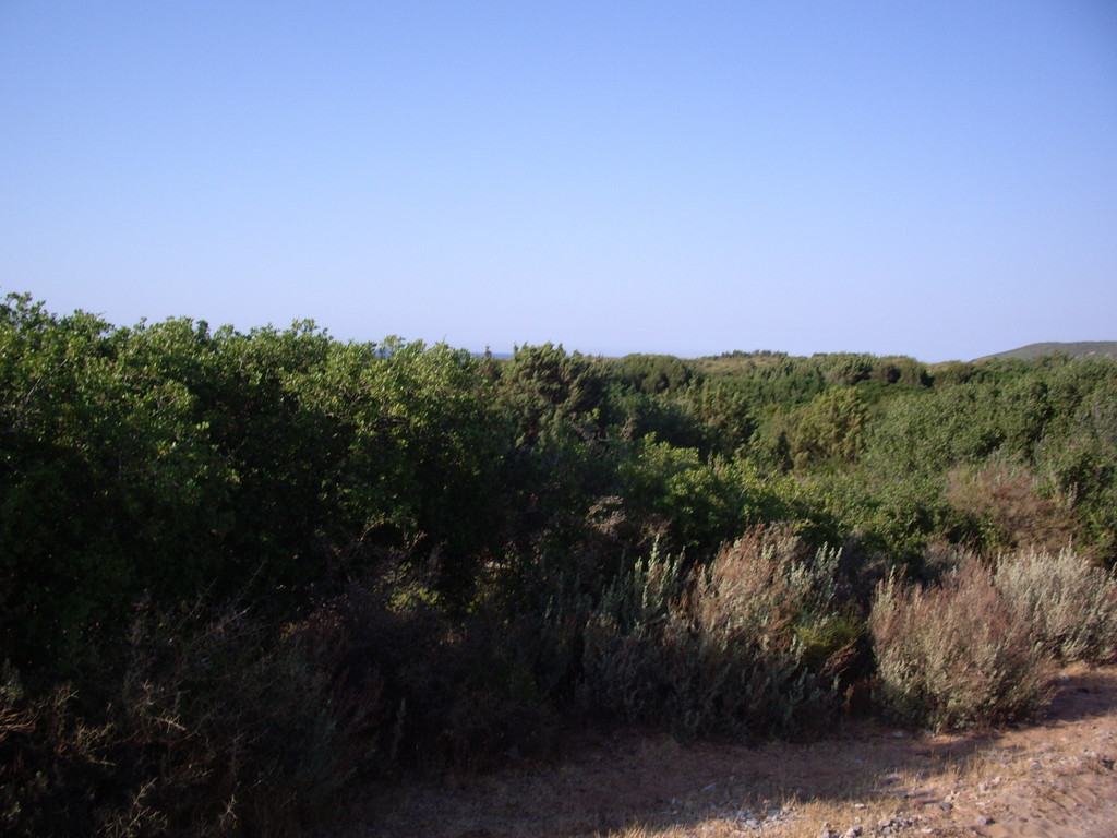 110.jpg