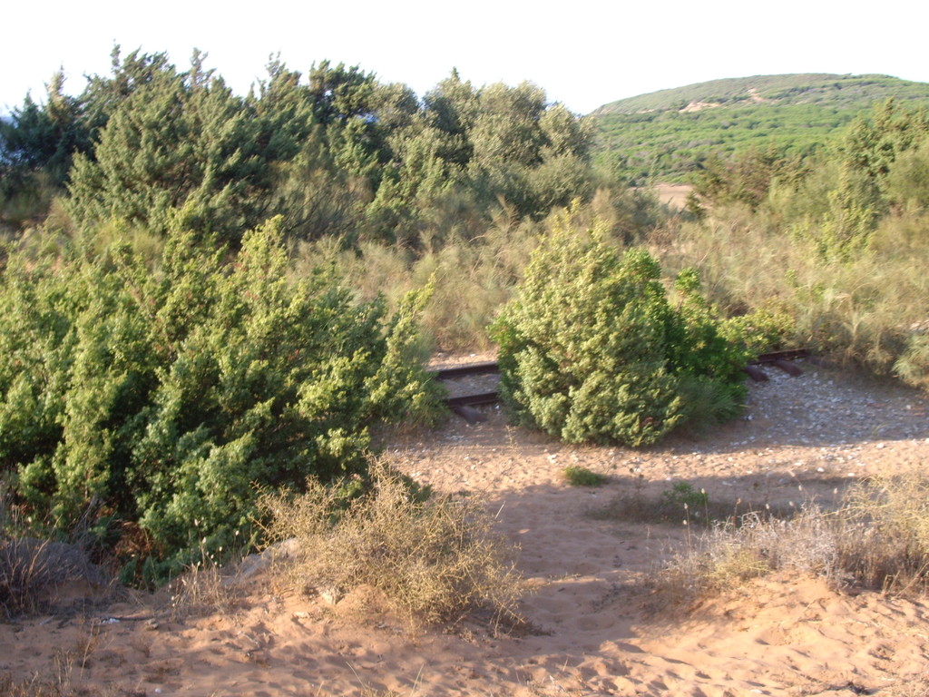 121.jpg